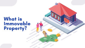 immovable property